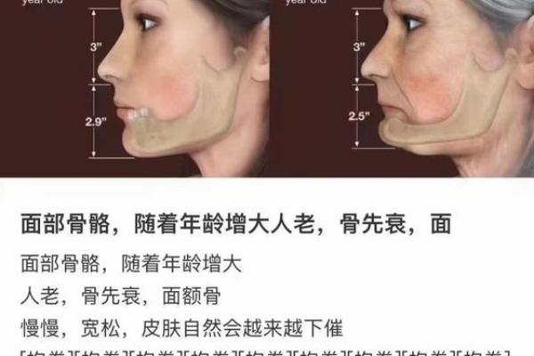 面部衰老八字图