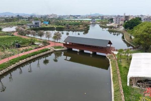臭水塘房子风水讲究图片