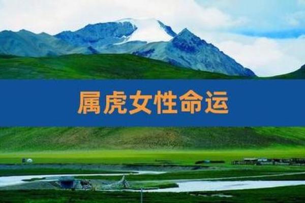 算婚姻合八字生肖虎女和什么生肖蕞配