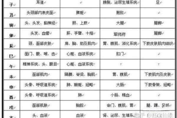 八字看身体