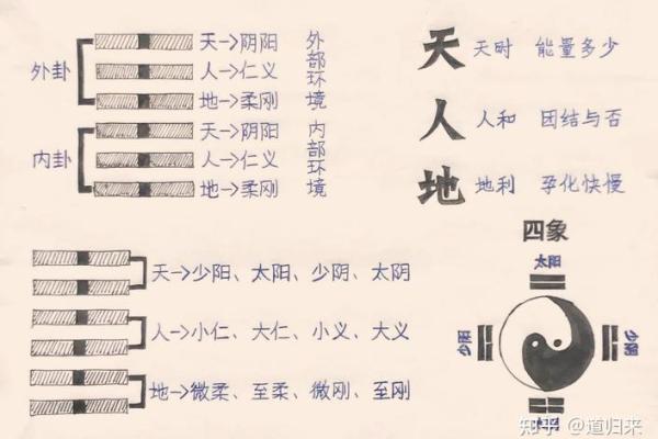 八字和三才