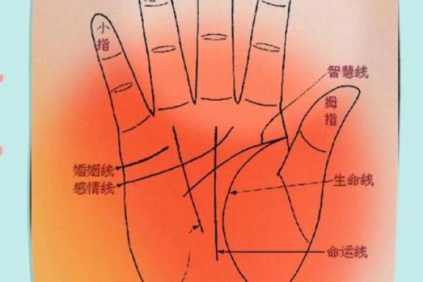 看手相算命生命线 手相图解生命线怎么看