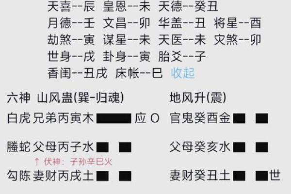 紫薇斗数领导