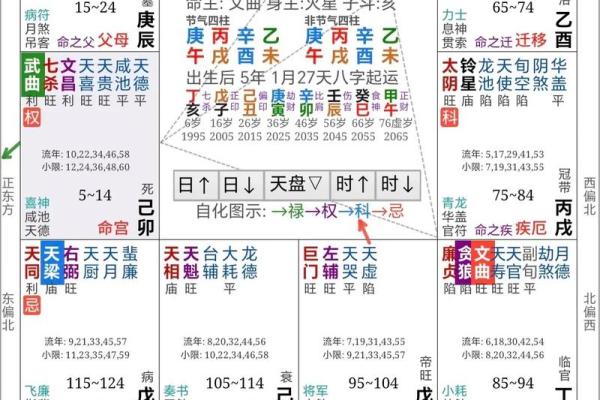 紫薇斗数领导