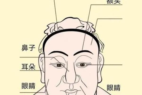 有关印堂面相算命图解