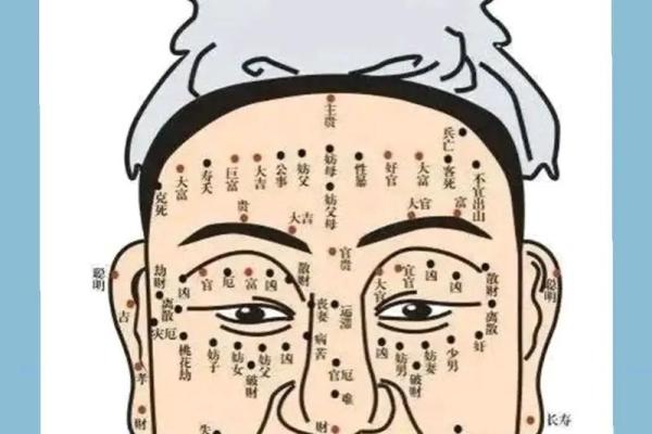 从面相看耳朵，耳朵面相算命图解