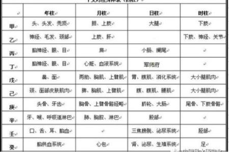 八字看身体