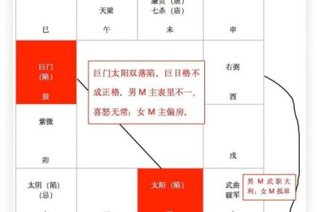 紫薇斗数太阴在戌