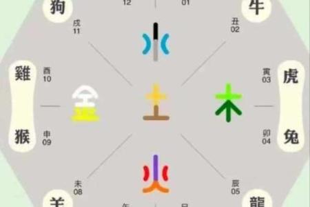 八字：身弱富贵惊人是什么意思
