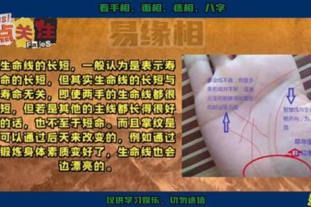 看手相算命生命线 手相图解生命线怎么看