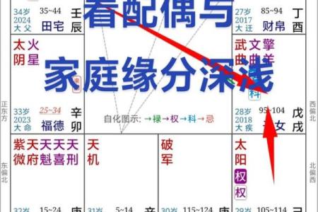 紫薇斗数看年纪