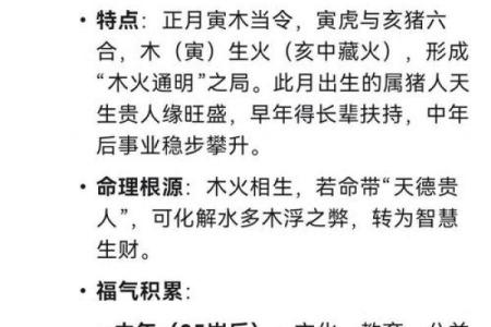 八字5两9特点介绍，八字5两9的含义及其解析