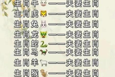 老公属马,老婆属龙,住几层的楼房风水更好？