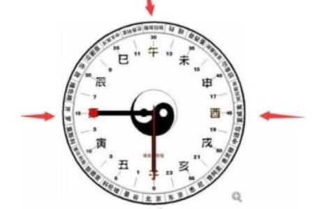 酉时八字