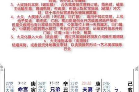 紫薇斗数飞禄